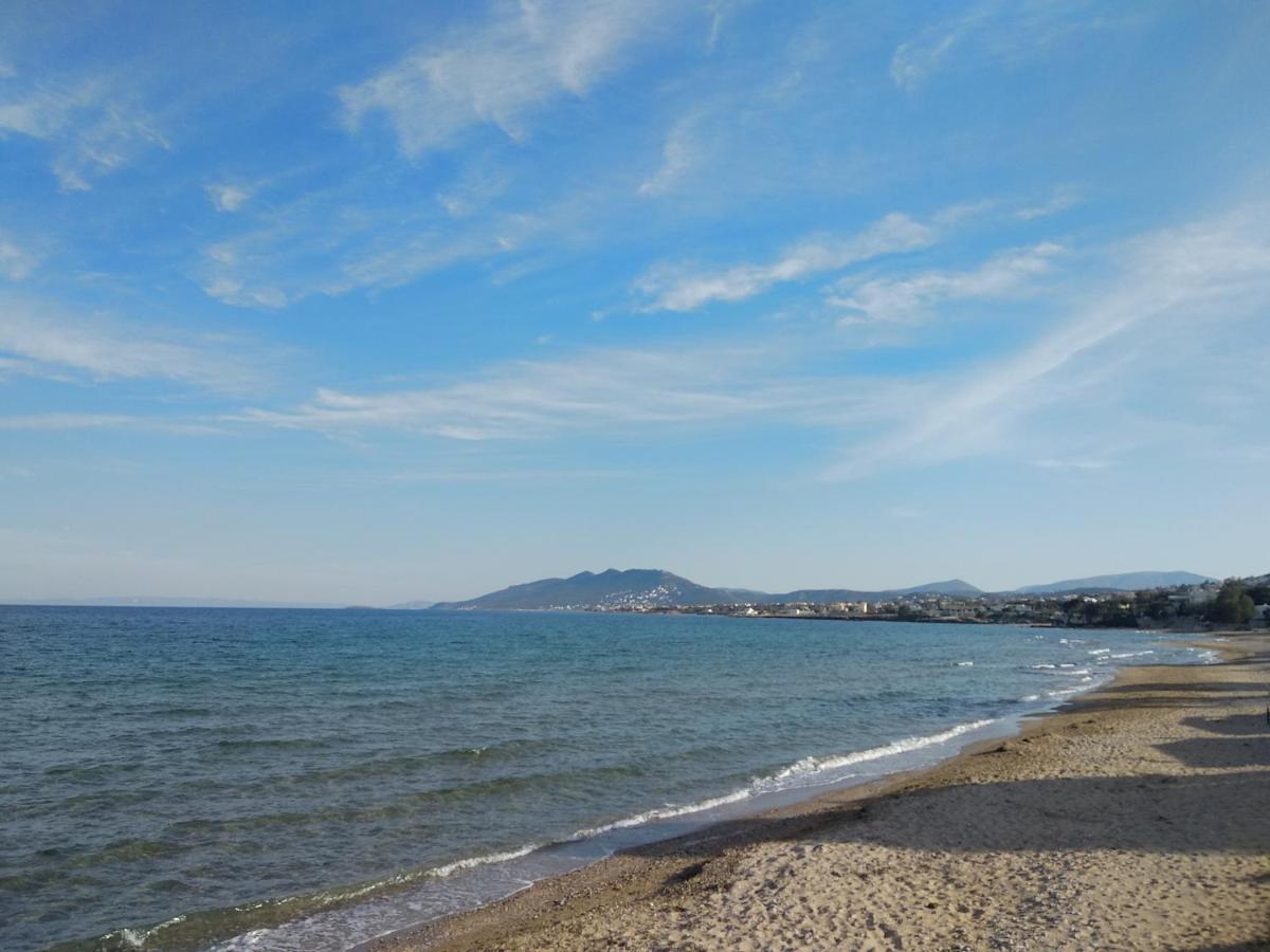 La Vita Apartments-Near Airport & Sea Artemida  Zewnętrze zdjęcie