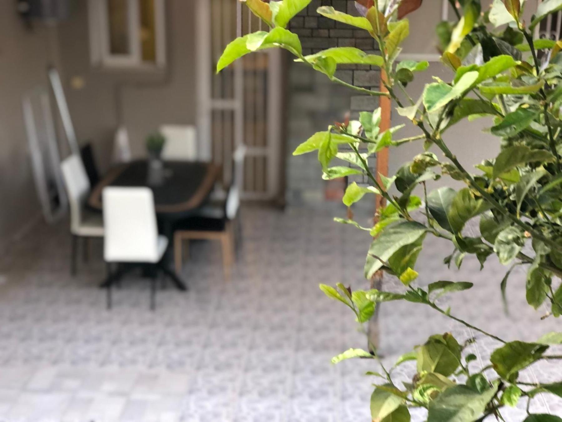 La Vita Apartments-Near Airport & Sea Artemida  Pokój zdjęcie